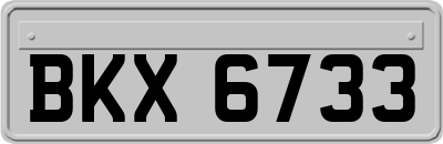 BKX6733
