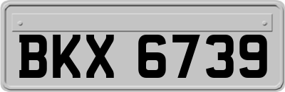 BKX6739