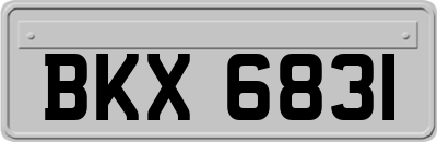 BKX6831