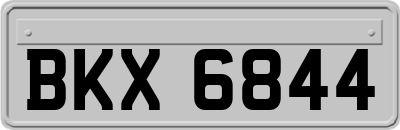 BKX6844