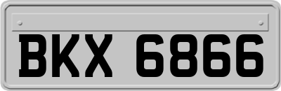 BKX6866