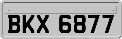 BKX6877