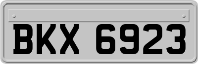 BKX6923
