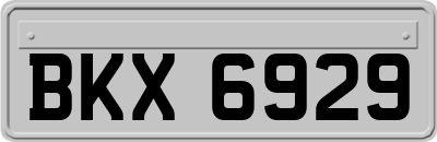 BKX6929