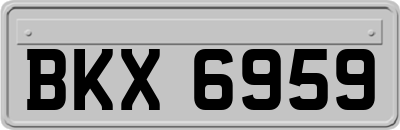 BKX6959