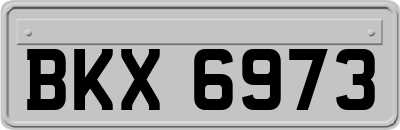 BKX6973