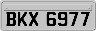 BKX6977