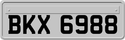 BKX6988