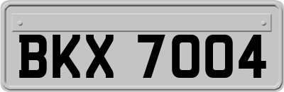 BKX7004