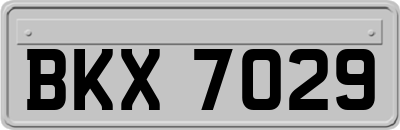 BKX7029
