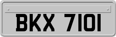 BKX7101