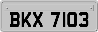 BKX7103