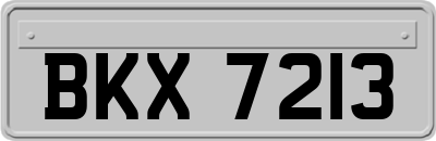 BKX7213