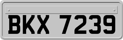 BKX7239