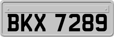 BKX7289