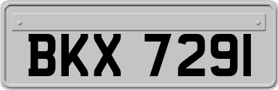 BKX7291