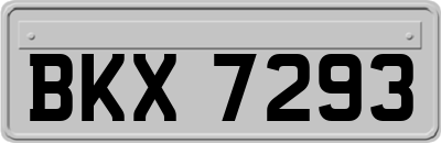BKX7293
