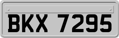 BKX7295