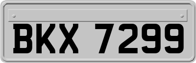 BKX7299