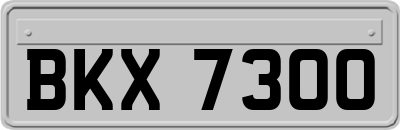 BKX7300