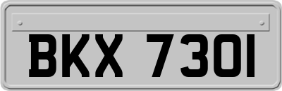 BKX7301