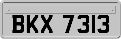 BKX7313