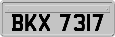 BKX7317