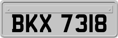 BKX7318