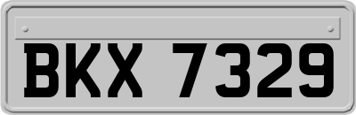 BKX7329