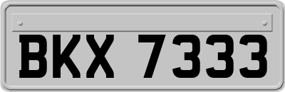 BKX7333