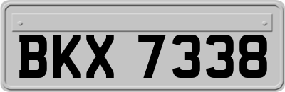 BKX7338
