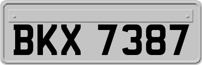 BKX7387