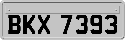 BKX7393