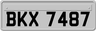 BKX7487