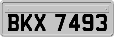 BKX7493