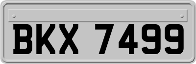 BKX7499