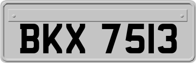 BKX7513