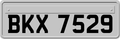 BKX7529