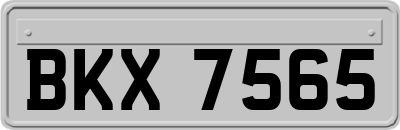 BKX7565