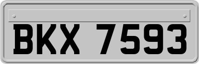BKX7593