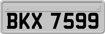 BKX7599