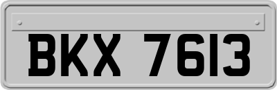 BKX7613