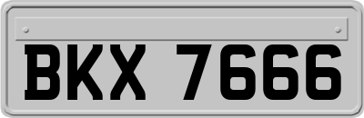 BKX7666