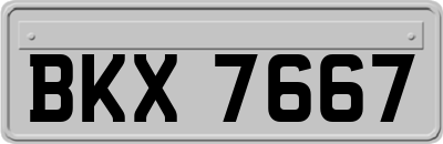 BKX7667