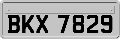 BKX7829
