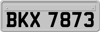 BKX7873