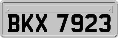 BKX7923