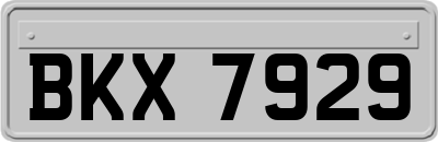 BKX7929