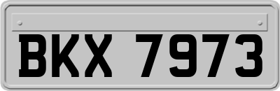 BKX7973