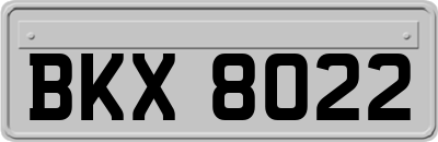 BKX8022
